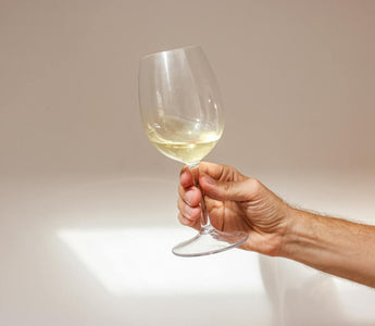 ¿Qué es el terroir y cuál es su importancia? - Wine.com.mx