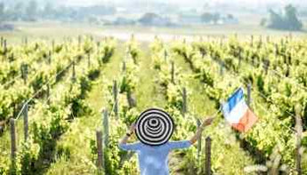 Sabores y colores de Francia: un viaje por el vino y arte - Wine.com.mx